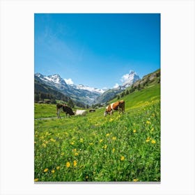 Cows Grazing In A Meadow Canvas Print