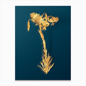 Vintage Lily Botanical in Gold on Teal Blue n.0348 Canvas Print