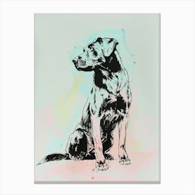 Pastel Anatolian Shepherd Dog Pastel Line Illustration 1 Canvas Print