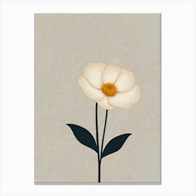 White Anemone Canvas Print
