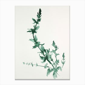 Green Ink Painting Of A Black Stem Spleenwort 3 Canvas Print