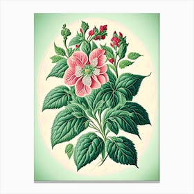 Peppermint 2 Floral Botanical Vintage Poster Flower Canvas Print