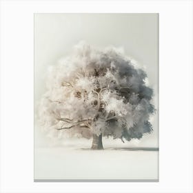 White Tree 1 Canvas Print