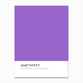 Amethyst Color Block Collection Wall Canvas Print