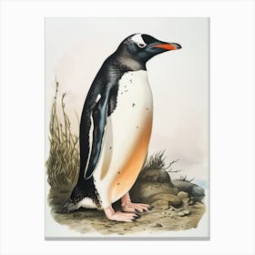 Adlie Penguin Livingston Island Vintage Botanical Painting 1 Canvas Print