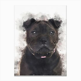 Shar Pei Dog Canvas Print