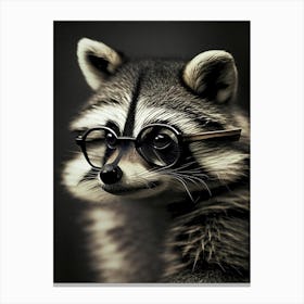 Raccoon Wearing Glasses Vintage 5 Canvas Print