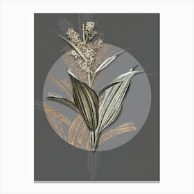 Vintage Botanical False Helleborine on Circle Gray on Gray n.0133 Canvas Print