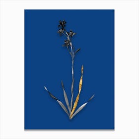Vintage Bugle Lily Black and White Gold Leaf Floral Art on Midnight Blue Canvas Print