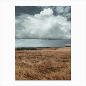 Cloudy Sky Over A Field Canvas Print