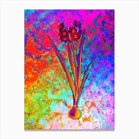 Daffodil Botanical in Acid Neon Pink Green and Blue Canvas Print
