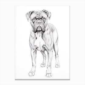 Boxer Dog, Line Drawing 6 Canvas Print