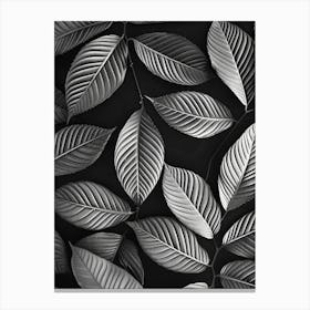 Black And White Leaves 5 Canvas Print