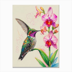Hummingbird And Orchid Canvas Print
