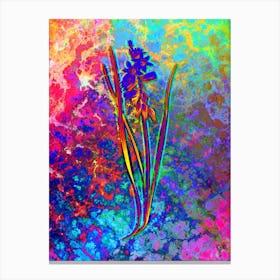 Drooping Star of Bethlehem Botanical in Acid Neon Pink Green and Blue n.0356 Canvas Print
