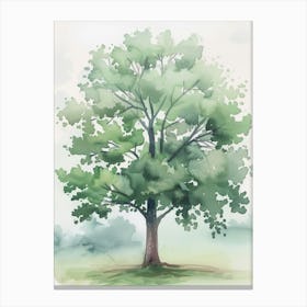 Pecan Tree Atmospheric Watercolour Painting 1 Canvas Print