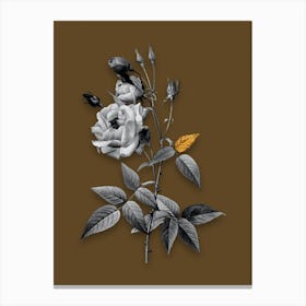 Vintage Common Rose of India Black and White Gold Leaf Floral Art on Coffee Brown n.0520 Canvas Print