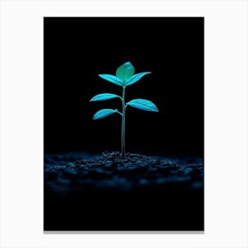 Small Green Plant On Black Background 2 Canvas Print