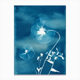 Blue Poppies Canvas Print