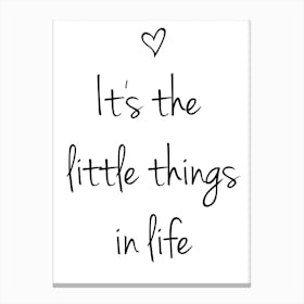 Little Things I Canvas Print