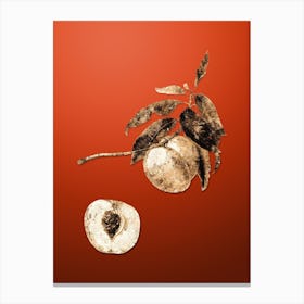 Gold Botanical Yellow Apricot on Tomato Red n.4914 Canvas Print