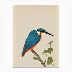 Kingfisher Illustration Bird Canvas Print