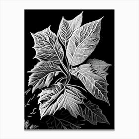 Walnuts Leaf Linocut Canvas Print