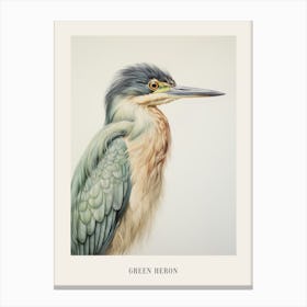 Vintage Bird Drawing Green Heron 1 Poster Canvas Print