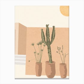 Cactus In Morocco Canvas Print