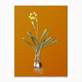 Vintage Narcissus Gouani Botanical on Sunset Orange n.0466 Canvas Print