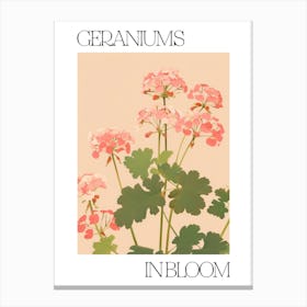 Geraniums In Bloom Flowers Bold Illustration 4 Canvas Print