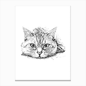 Cat Drawing 2 Lienzo