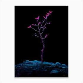 Tree In The Dark 4 Canvas Print