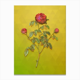 Vintage Agatha Rose In Bloom Botanical Art on Empire Yellow n.1469 Canvas Print