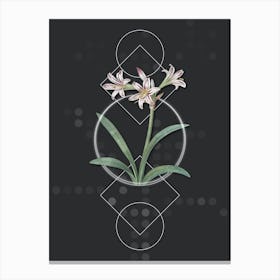 Vintage Amaryllis Botanical with Geometric Line Motif and Dot Pattern n.0364 Canvas Print