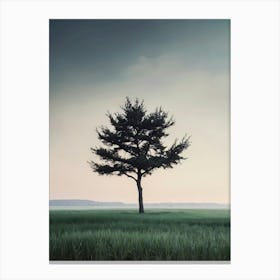 Lone Tree In A Field 1 Canvas Print