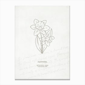Daffodil Birth Flower | Antique Canvas Print