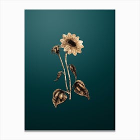 Gold Botanical Trumpet Stalked Sunflower on Dark Teal n.4470 Canvas Print