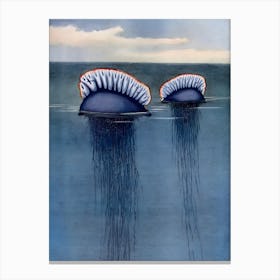 Jellyfish 7 Canvas Print