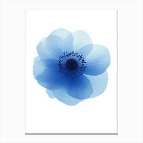 Blue Poppy Canvas Print