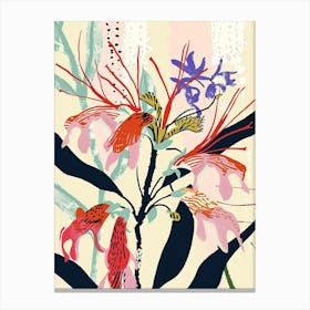 Colourful Flower Illustration Bee Balm 1 Canvas Print
