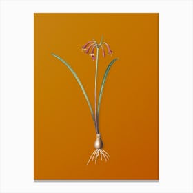 Vintage Brandlelie Botanical on Sunset Orange n.0514 Canvas Print