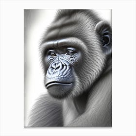 Baby Gorilla Gorillas Greyscale Sketch 1 Canvas Print