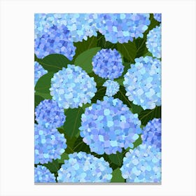 Light Blue Hydrangeas Canvas Print