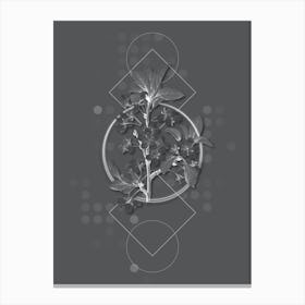 Vintage White Plum Flower Botanical with Line Motif and Dot Pattern in Ghost Gray n.0089 Canvas Print
