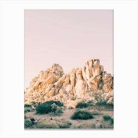 Purple Desert Sunset Canvas Print