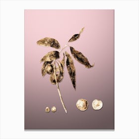 Gold Botanical Apricot on Rose Quartz n.0321 Canvas Print
