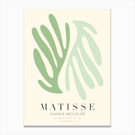 Pastel Green Matisse Canvas Print