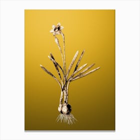 Gold Botanical Narcissus Gouani on Mango Yellow n.0866 Canvas Print