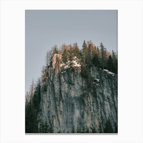 Mountain Top Forest Canvas Print